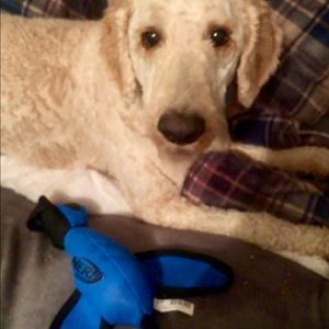 Meet your Posher, Renee